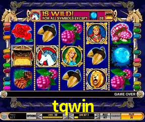 Descubra a Essência do tqwin: Nossa História e Compromissos