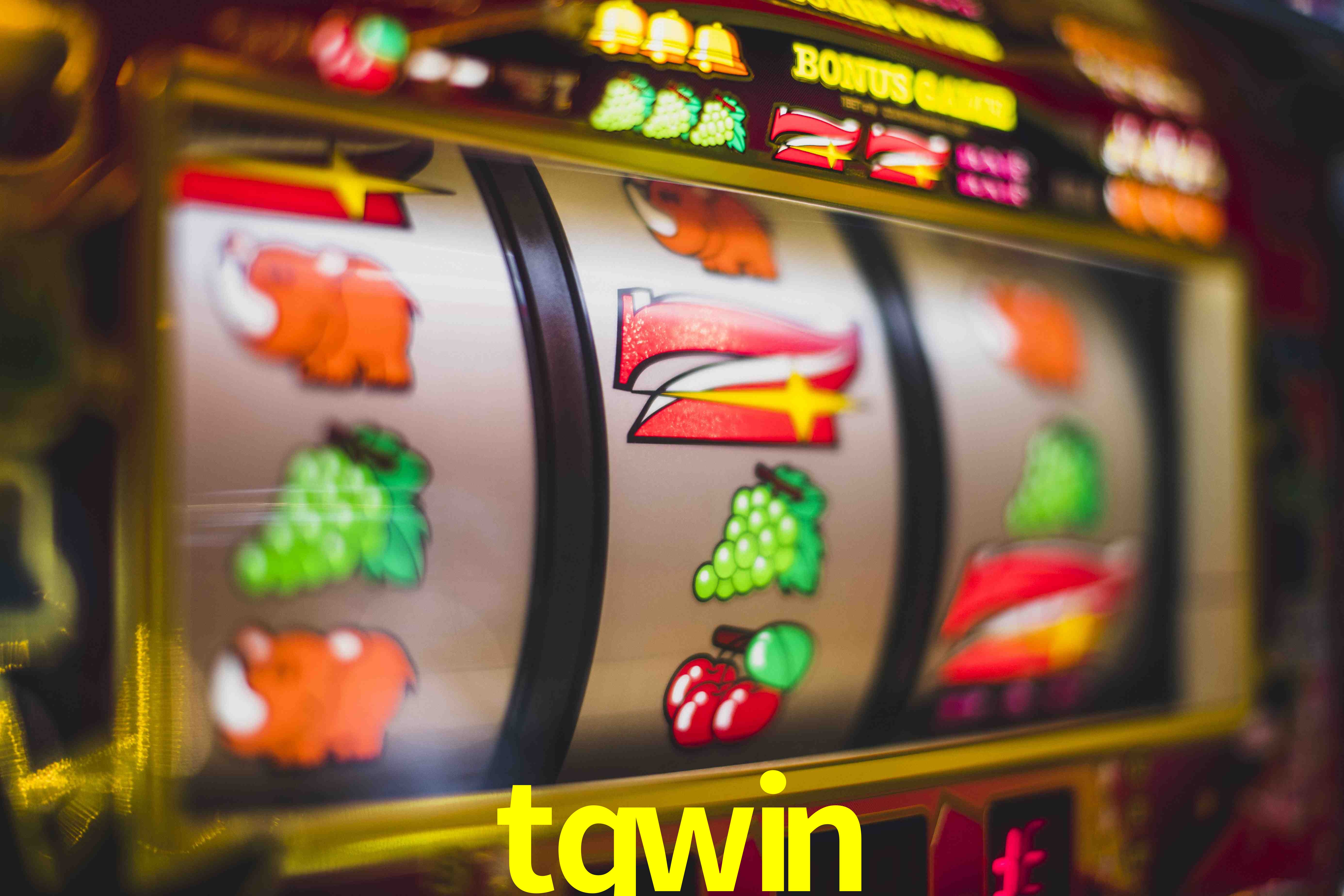 Tennis Betting tqwin